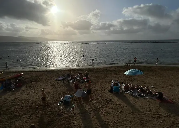 Sardine Las Palmas de Gran Canaria